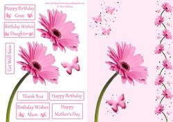 Pink Gerbera & Butterfly Wishes on Pink Step by Step