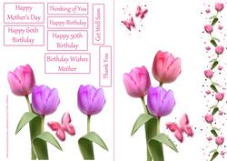 Pink Tulip & Butterfly Wishes Step by Step