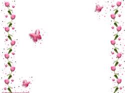 Pink Tulip & Butterfly Wishes Insert