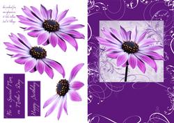 Osteo Swirl Step by Step