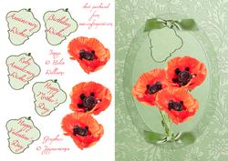 Poppy Trio Step by Step
