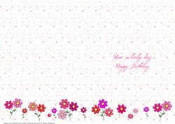 Daisies & Hearts Insert Birthday
