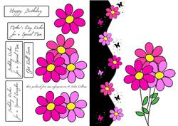 Daisy & Butterfly Wishes Step by Step in Colour