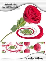 Single Red Rose Image (cu4cu)