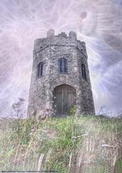 Fairytale Tower & Owls Background