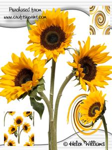 Sunflower Trio Image Cu4cu