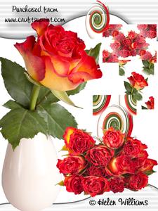 Flame Roses Cu4cu Images