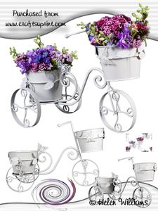 Trike & Flowers Cu4cu Images