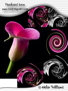 Hot Pink Cala Lily 'heart' & Metallic Eye Cu4cu Image