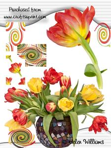 Tulips in a Vase & Tulip Cu4cu Image