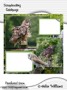 Owls Quickpage 12x12inch
