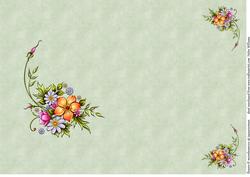 Painted Flowers on Blush Green Insert