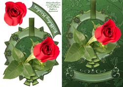 Red Rose & Frame on Green Card Front