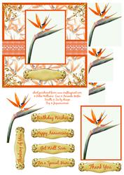 Bird of Paradise Square Step by Step / Pyramid