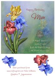 Iris Trio Mum Birthday 8x8 Inch Topper