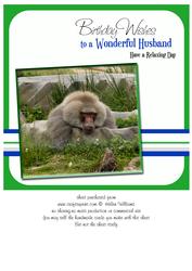 Baboon Husband Birthday 8x8inch Card Front
