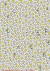 Ooops Alot of Daisies Background Paper