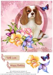 Cavalier King Charles Spaniel & Flowers Step by Step