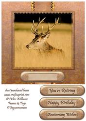 The Golden Hour, Stag 8x8inch Topper