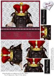 Staffordshire Bull Terrier King of My Heart
