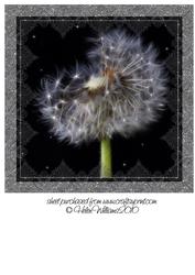 Magical Dandelion 8x8inch Topper