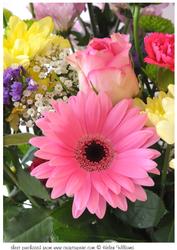 Pink Gerbera Bouquet Art A4 Topper