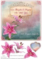 Stargazer Lily Sympathy Step by Step