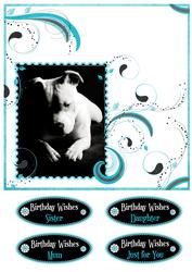 Staffordshire Bull Terrier in Mono on Teal Swirls