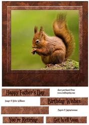Red Squirrel on Leafy Brown 8x8 Inch Topper