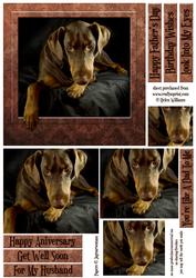 Doberman 'the Look' 6inch Pyramid