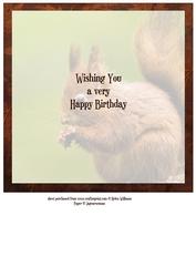 Red Squirrel on Leafy Brown 8x8 Inch Insert Birthday