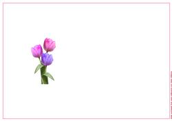 Tulip Trio Purple Tones Ink Saving Insert