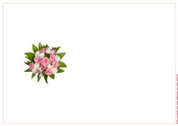 Pink & White Rose Posy Ariel View Ink Saving Insert