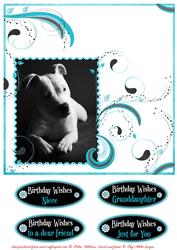 Staffordshire Bull Terrier in Mono on Teal Swirls 2