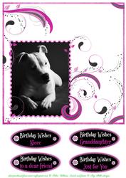 Staffordshire Bull Terrier in Mono on Pink Swirls 2