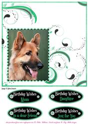 German Shepherd & Swirls Card Topper 8x8inch