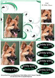 German Shepherd & Swirls Pyramid Card Front 6inch