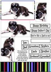 Staffie Cool & Liquorice Stripe Topper