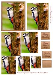 Woodpecker Pyramid Topper