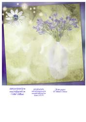 Blubell Insert 8x8inch Part Two Cutaway Version