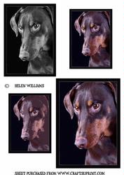 Doberman Topper Sheet