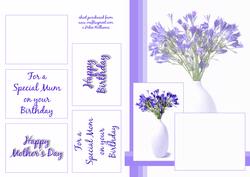 Mum, Mom Quick Card Bluebells Sh0048