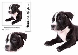 Puppy Card & Topper Sh0059