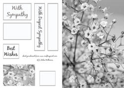 Black & White Gypsophilia Sympathy Quick Card Sh0069