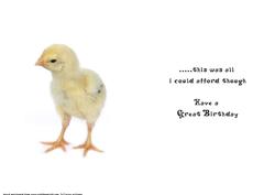 Hot Chick Male Birthday Insert Sh0074