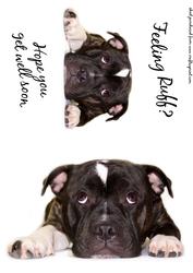 Get Well Soon Staffordshire Bull Terrier Dog Toppers