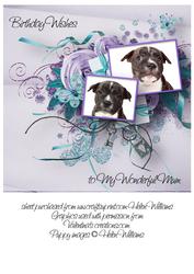 Staffordshire Bull Terrier Puppy Birthday Mum 8x8inch Topper