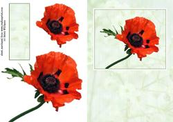 Poppy Card Front & Toppers. Sh0089