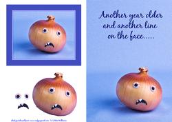 Humorous Onion 'wrinkles' Birthday Card