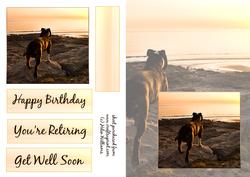 Staffordshire Bull Terrier Sunset Retirement, Birthday, Get Well Soon Card Front, Paper & Topper